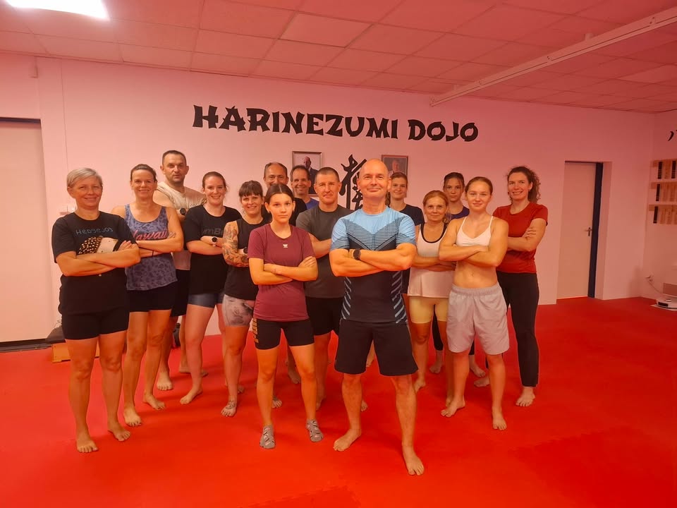 VTSE - Harinezumi Dojo