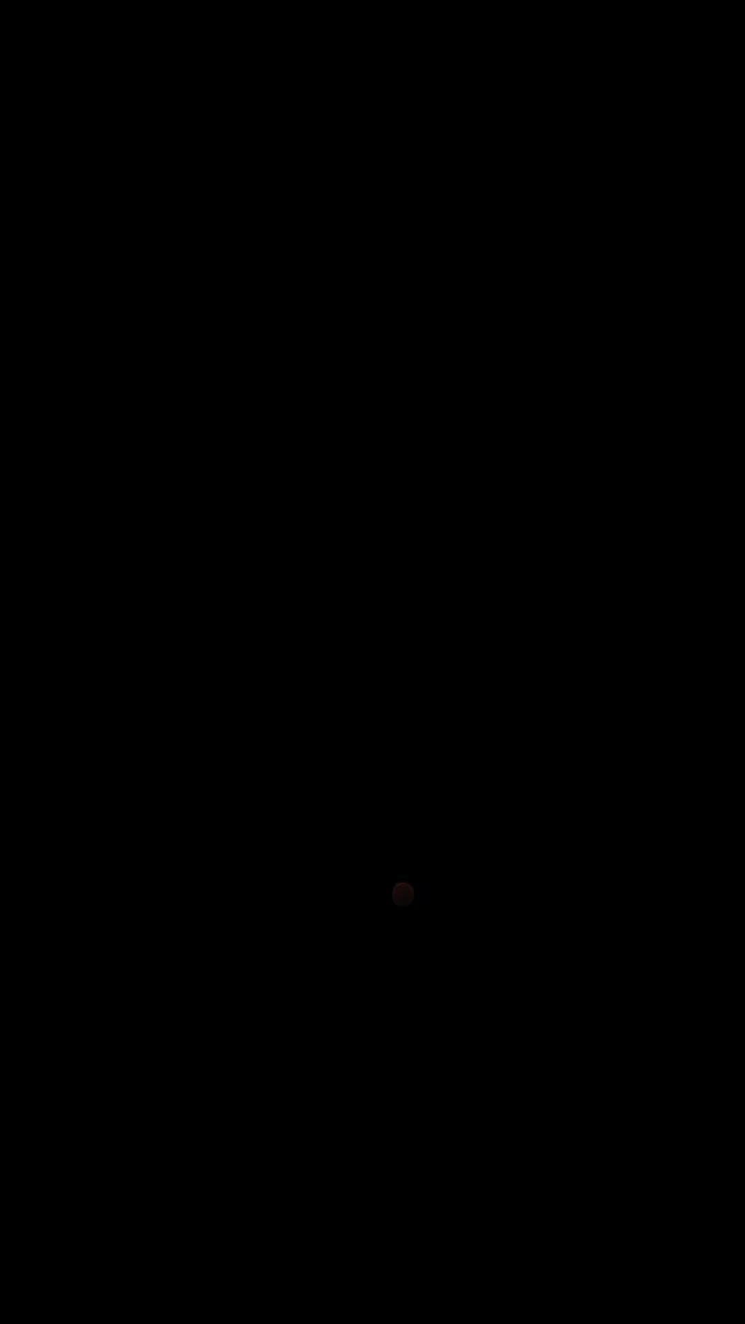VTSE - Harinezumi Dojo