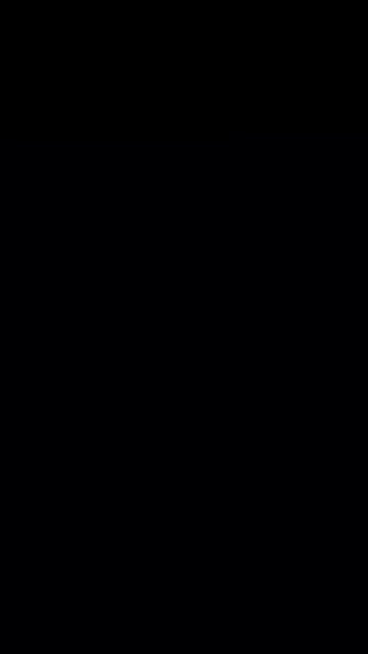 VTSE - Harinezumi Dojo