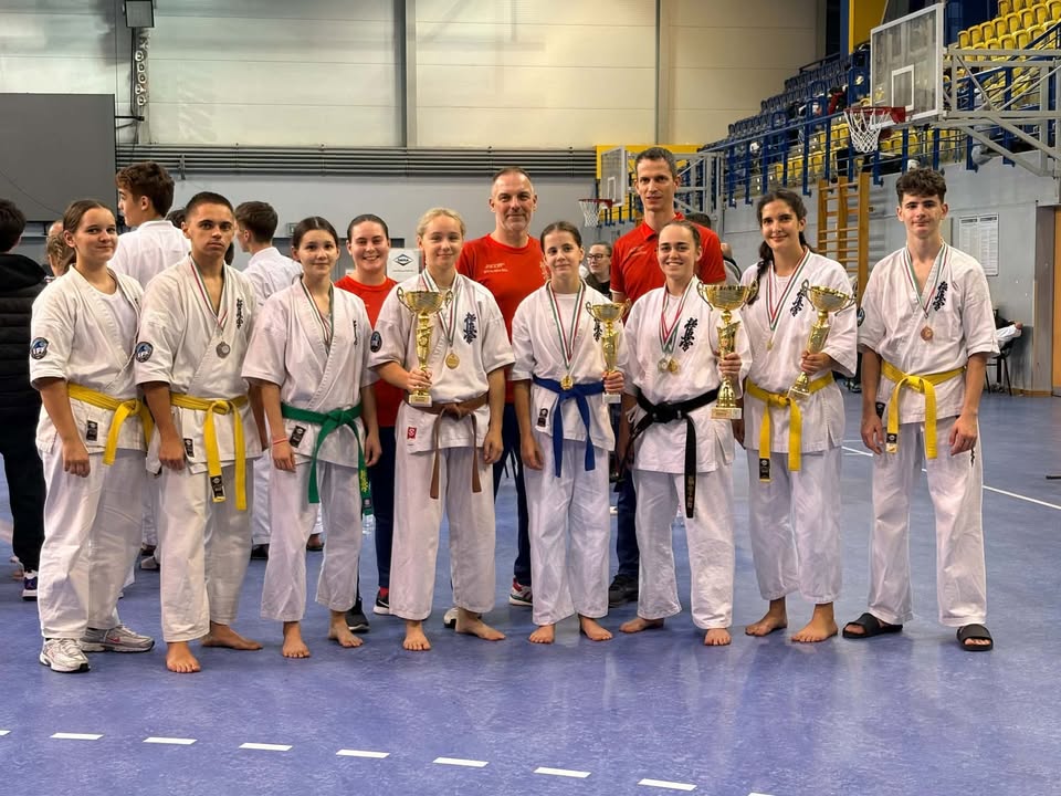 VTSE - Harinezumi Dojo