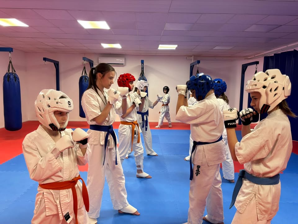 VTSE - Harinezumi Dojo