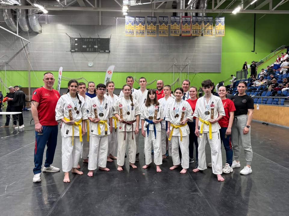 VTSE - Harinezumi Dojo