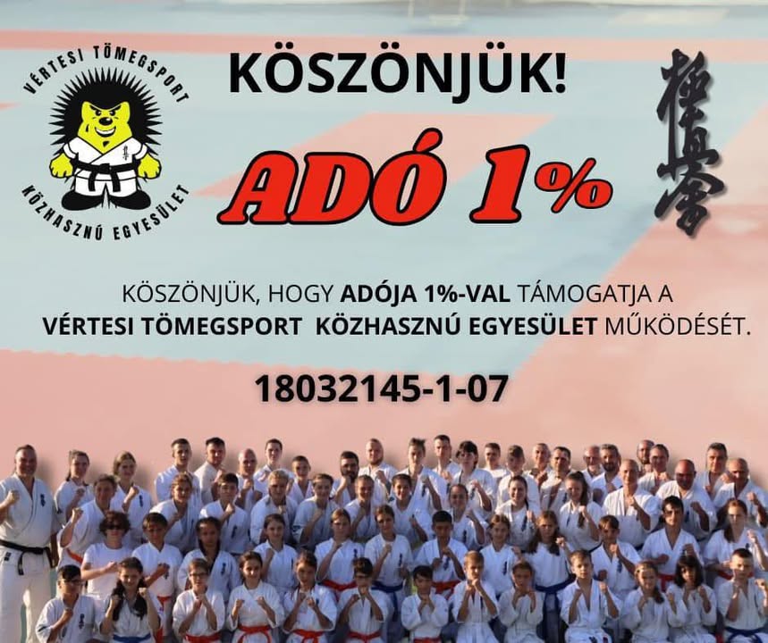 VTSE - Harinezumi Dojo