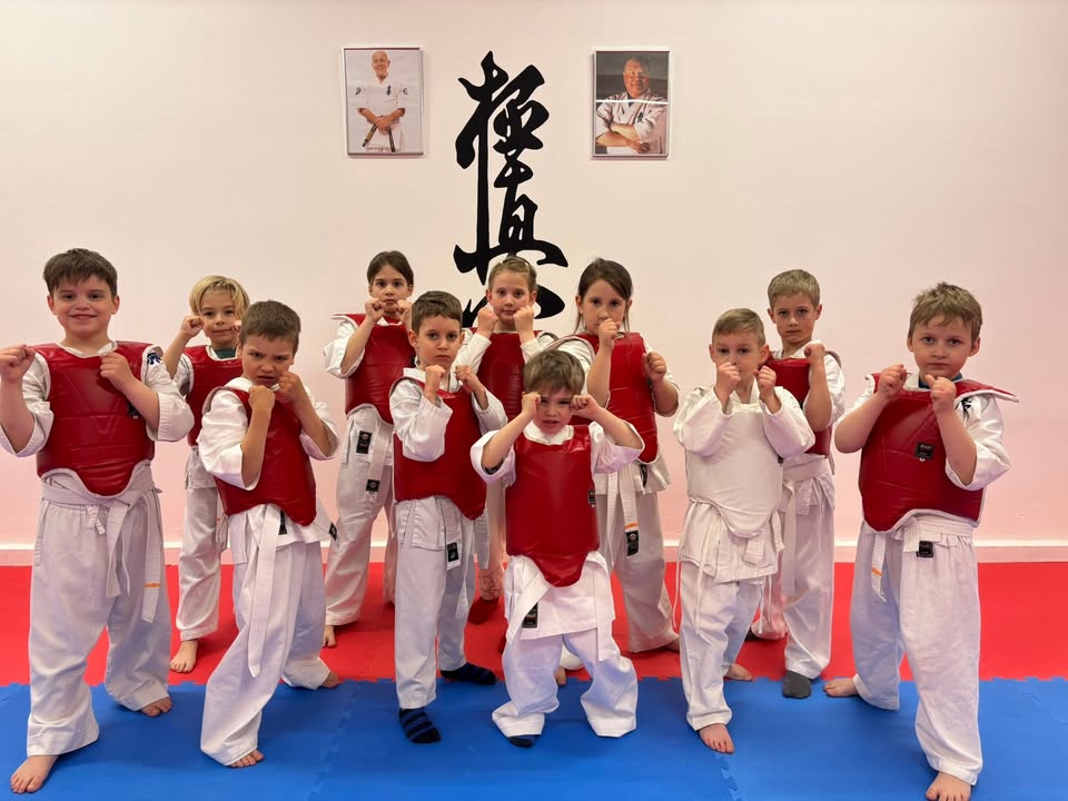 VTSE - Harinezumi Dojo